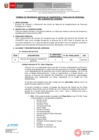 Vista preliminar de documento TDR - TRANSPORTE  movilidad pérsonal   325 dias  