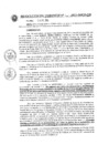 Vista preliminar de documento Resolución de Gerencia N° 601-2023-MPCP-GM