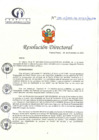 Vista preliminar de documento RD N° 289-12-2023-DE-HCLLH-MINSA
