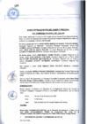 Vista preliminar de documento Acta de Sesión Extraordinaria del Consejo Regional 