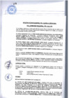 Vista preliminar de documento Acta de Sesión Extraordinaria del Consejo Regional 