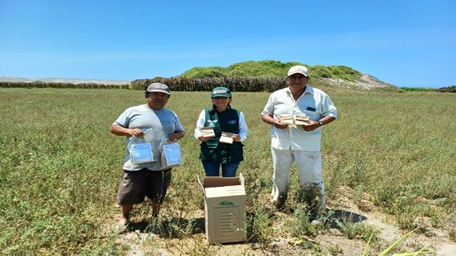 PEJEZA realiza transferencia de tecnología a productores de la Comisión de Usuarios de Jequetepeque