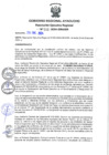 Vista preliminar de documento RER 046-2024-GRA/GR