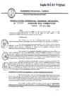 Vista preliminar de documento R.G.G.R. N080-2020GRT-GGR_09Mar2020