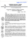 Vista preliminar de documento R.G.G.R. N099-2020GRT-GGR_18May2020