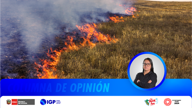 Columna de Opinión | Efectos de incendios en pastizales y suelos