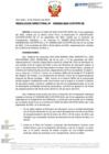 Vista preliminar de documento RD Nº D000024-2024-DE
