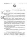 Vista preliminar de documento RD N°  029-2024-HNCH-DG