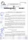 Vista preliminar de documento R.D 01995-2023
