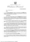 Vista preliminar de documento RD 22