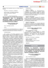Vista preliminar de documento RD0003_2024EF5301
