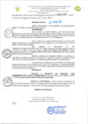 Vista preliminar de documento RD Nº000405 08-02-202420240214