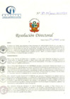 Vista preliminar de documento RD N° 89-04-2020-HCLLH-SA