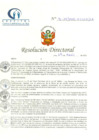 Vista preliminar de documento RD N° 91-04-2020-HCLLH-SA