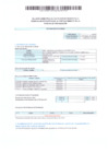 Vista preliminar de documento Balance Semestral de los Regidores Municipales