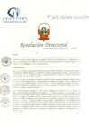 Vista preliminar de documento RD N° 103-05-2020-HCLLH-SA