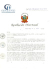 Vista preliminar de documento RD N° 106-06-2020-HCLLH-SA