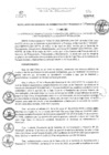 Vista preliminar de documento RGAF_N°028-2023
