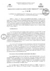 Vista preliminar de documento RGAF_N°044-2023