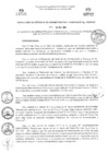Vista preliminar de documento RGAF_N°096-2023