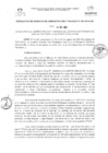 Vista preliminar de documento RGAF_N°094-2023