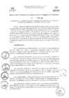 Vista preliminar de documento RGAF_N°113-2023