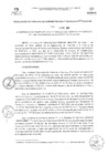 Vista preliminar de documento RGAF_N°129-2023
