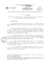 Vista preliminar de documento RGAF_N°135-2023