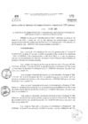 Vista preliminar de documento RGAF_N°137-2023