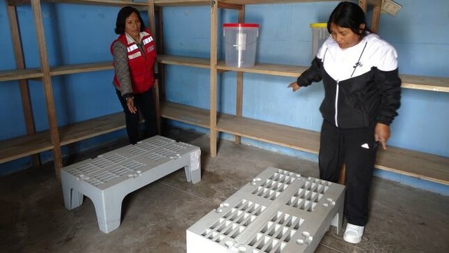 Supervisan condiciones de almacenes