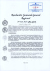 Vista preliminar de documento RGGR 024-2024-GRL-GGR