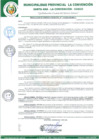 Vista preliminar de documento RGM-133-2024-GM-MPLC