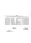 Vista preliminar de documento RESULTADOS