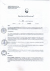 Vista preliminar de documento UE401_RD_N_955_HSJCH_DE