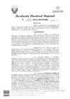 Vista preliminar de documento RDR Nº 0272-2024-GRSM-DRE