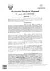 Vista preliminar de documento RDR Nº 0291-2024-GRSM-DRE
