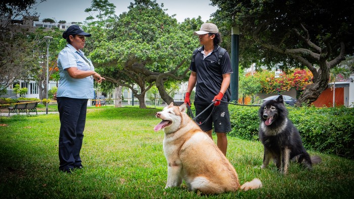 tenencia responsable de mascotas