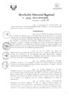 Vista preliminar de documento RDR Nº 0294-2024-GRSM-DRE