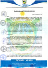 Vista preliminar de documento rgm36