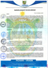 Vista preliminar de documento rgm39