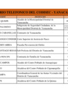 Vista preliminar de documento IMPLEMENTACION,  JURAMENTACION Y DIRECTORIO DEL CODISEC-2024 
