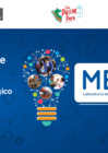 Vista preliminar de documento Repositorio de Evidencia - Manual Metodológico