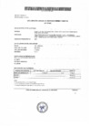Vista preliminar de documento Declaraciones Juradas de Ingresos y de Bienes y Rentas - Al Cesar - 2024