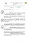 Vista preliminar de documento RD Nº000291 05-02-202420240216