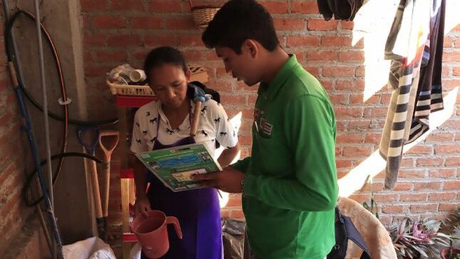 Piura: más de 175 000 viviendas serán intervenidas para controlar la reproducción del zancudo que transmite el dengue