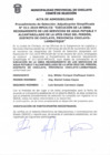 Vista preliminar de documento Acta de otorgamiento de buena pro