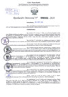 Vista preliminar de documento Resolución Directoral. N° 0305 - 2024 