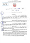 Vista preliminar de documento RD N 0084