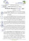 Vista preliminar de documento RD N 0087