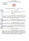 Vista preliminar de documento RD N 0102